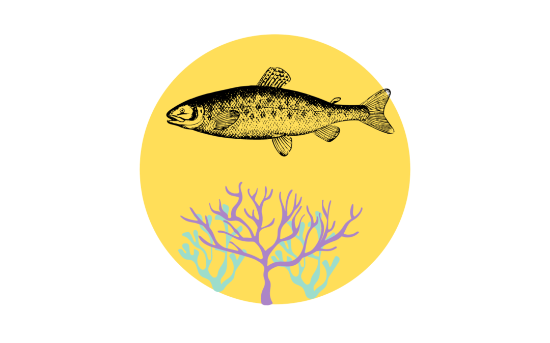 Reti da pesca